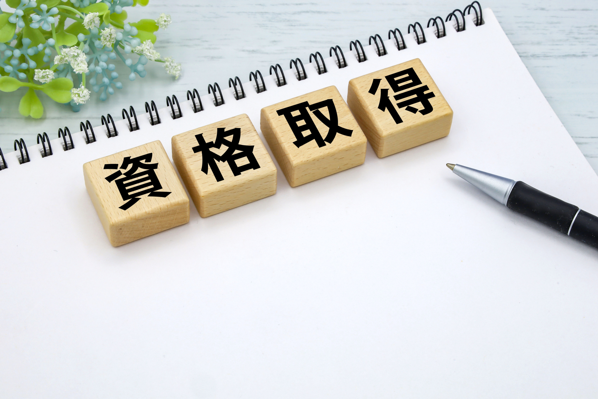 大学生が宅建の勉強に取り組む様子